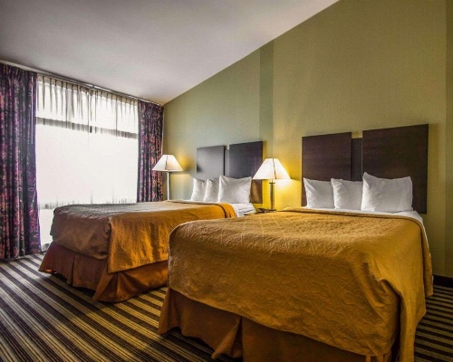 Quality Inn East Haven - New Haven image 13